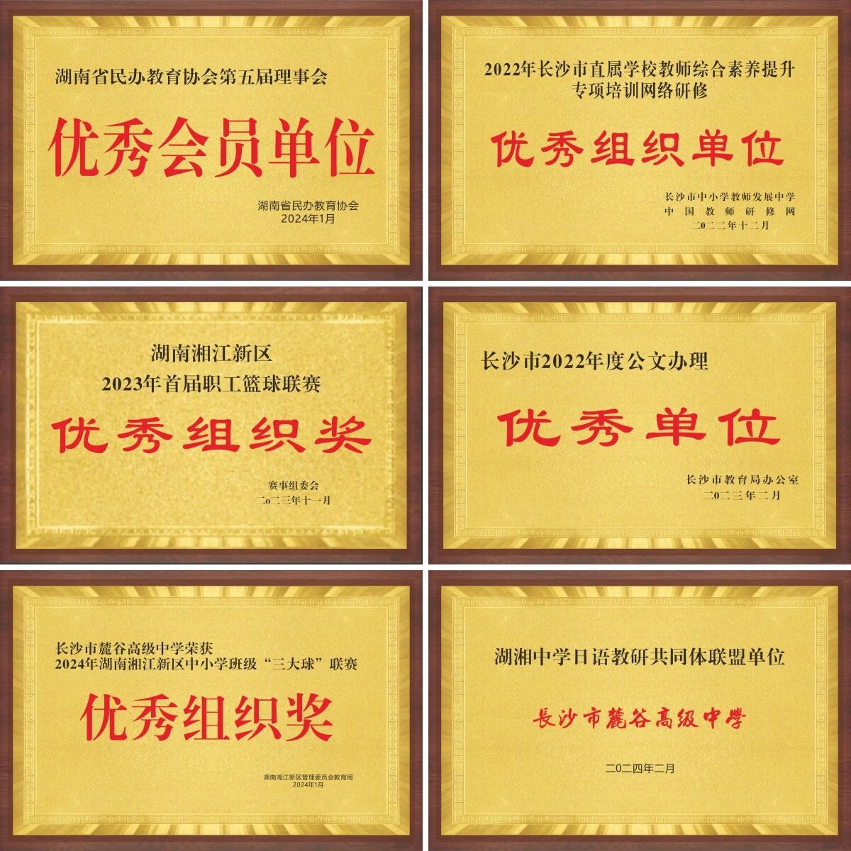 微信图片_2026-04-23_141657_542.jpg